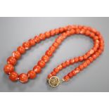 A single strand coral bead necklace, with gilt sterling clasp, 45cm, gross 32 grams.CONDITION: