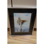 Michael J Loates (20th century), watercolour, study of a Redshank, signed and dated 1978, 27 x