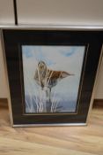 Michael J Loates (20th century), watercolour, study of a Redshank, signed and dated 1978, 27 x