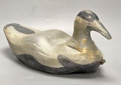 An American Eider decoy duck, length 39cmCONDITION: Back of head paint work has chipped revealing