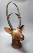 An Indian carved hardwood stag's head trophy, with glass inset eyes, 82cm