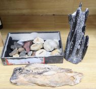 A small collection of assorted fossils, a polished gem stone, 40cm long and a polished mineral