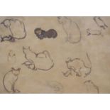 Modern British, ink on brown paper, Studies of cats, 19 x 28cm