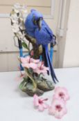 A large Connoisseur of Malvern Hyacinth Macaw, no.15/25