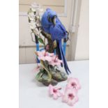 A large Connoisseur of Malvern Hyacinth Macaw, no.15/25