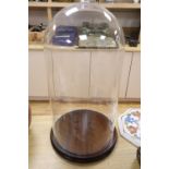 A glass dome on stand, overall 60cm