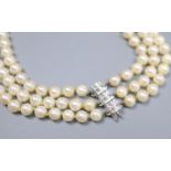 A modern triple strand cultured pearl choker necklace with 9ct white gold clasp, 35cm, gross 51.3