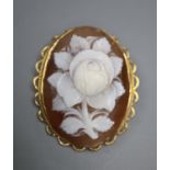 A modern 9ct gold mounted carved oval cameo shell brooch, 38mm, gross 9 grams.