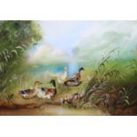 Continental School, Mallard ducks by the waters edge, oil on board, 11 x 16cm, in decorative frame