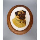 A Victorian painting on glass of a pug dog, height 31cm, width 24cm