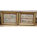 Victorian School, eight watercolours on card, Sporting scenes and studies of bid cats, wolves and