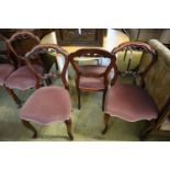 A set of six Victorian style mahogany balloon-back dining chairs, with stuffover seats on cabriole