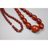 A single strand graduated oval simulated amber bead necklace, 80cm, gross 70 grams.