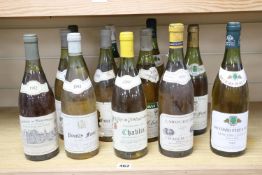 Twelve bottles of mixed white wines, comprising 1981 Pouilly-Fume Serge Dagueneau (3), 1984