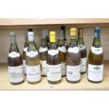 Twelve bottles of mixed white wines, comprising 1981 Pouilly-Fume Serge Dagueneau (3), 1984