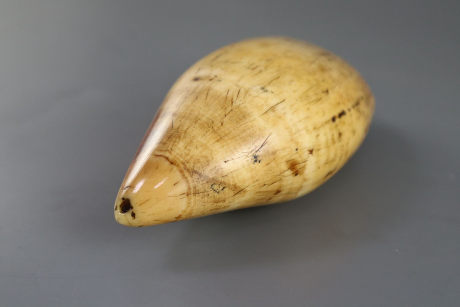 A 19th century South Seas sperm whale tooth tabua, 19th century, with pierced holes to each end, - Image 5 of 5