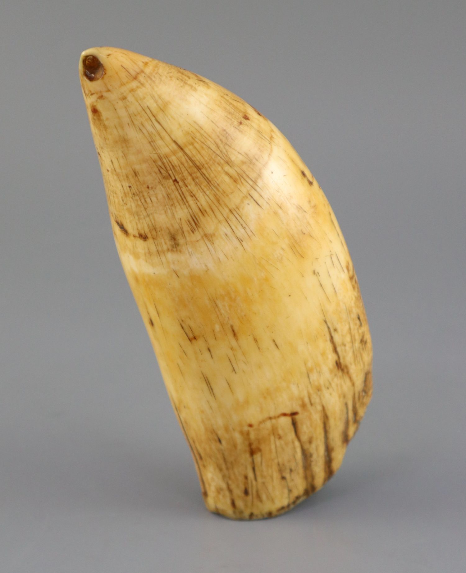 A 19th century South Seas sperm whale tooth tabua, 19th century, with pierced holes to each end, - Image 2 of 5