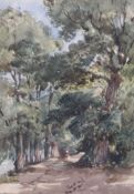 Thomas Churchyard (1798-1865)watercolour'Country Lane'inscribed Appleby Brothers label verso, Spring