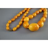 A single strand graduated oval amber bead necklace, 86cm, gross weight 112 grams, with gilt metal