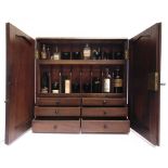 A MAHOGANY MEDICINE CABINET the side hinged panelled doors opening to reveal a fitted interior of