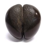 A COCO DE MER (LODOICEA MALDIVICA), SEYCHELLES polished, 23.5cm x 23.5cm.