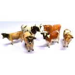A GROUP OF BESWICK CATTLE: Jersey Cow and Bull, Guernsey Cow and Bull, and an Ayreshire cow and