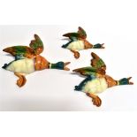 A GRADUATED SET OF THREE BESWICK FLYING DUCKS models 596-1, 596-2 and 596-3, the largest 26cm long