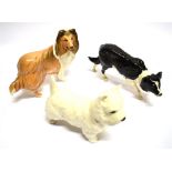 THREE BESWICK DOGS: Westie, Tan Collie and Border Collie