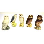 A GROUP OF FIVE ROYAL DOULTON BIRDS OF PREY: Merlin, Tawny Owl, Barn Owl, Short Eared Owl, Snowy