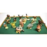 A GROUP OF SIXTEEN BESWICK BIRDS: Pheasant, Robin, Chaffinch (x2), Blue Tit, Wren, Grey Wagtail,