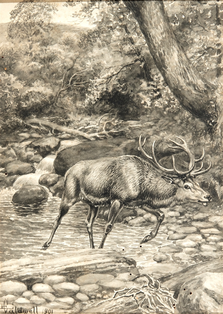 N. VALDWELL Stag Hunting, two monochrome watercolours, signed and dated 1901, 25.5 x 18cm and 18 x