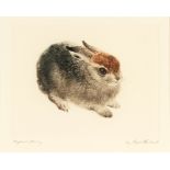 After Kurt Meyer, Eberhard T 'Study of a Leveret', coloured etching, signed in pencil, 21.5cm x 26.