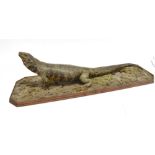 A LIZARD full mount on a shaped rectangular base, 76cm wide, 20cm high