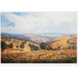 AFTER DONALD AYRES Hunt on Exmoor, limited edition colour print, no. 154/350, signed and numbered in