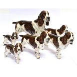 A BESWICK FIGURE OF A SPRINGER SPANIEL 'Champion Dry Toast', no. HN2515, 20cm; three medium size