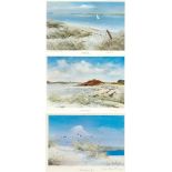 AFTER JOHN HAMILTON 'Springtime on Tresco', limited colour print, no. 1/650, signed and numbered