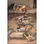 ENGLISH SCHOOL, LATE 19 CENTURY 'An Unpleasant Surprise', hound puppies retreating up stone steps on