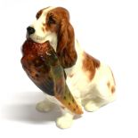 A ROYAL DOULTON MODEL OF A SEATED COCKER SPANIEL liver and white, pheasant to mouth, 13cm high.