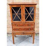 A SMALL EDWARDIAN MAHOGANY SIDE CABINET with parquetry inlaid decoration, glazed doors opening to