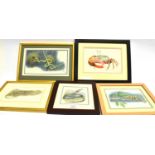 PETER BARRETT (BRITISH, B.1935) Five wildlife studies, watercolours, comprising a Nile Monitor