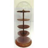 A TIERED WOODEN DISPLAY STAND BENEATH A GLASS DOME overall 64cm high.