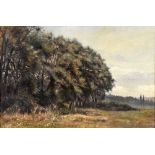 CATHERINE MAUDE NICHOLS (BRITISH, 1848-1923) Heathland trees, oil on canvas, signed lower left, 32cm