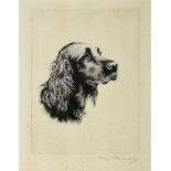 AFTER ALICE BARNWELL Head study of a Setter, engraving, artists proof, signed in pencil on the
