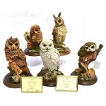 'COUNTRY ARTISTS' OWL FIGURES comprising 'Short eared owl', 'Little Owl' CA398; 'Snowy Owl'