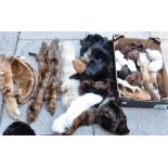 ASSORTED FUR STOLES, COLLARS AND HATS ETC