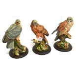 THREE COUNTRY ARTISTS BIRDS OF PREY to include 'Red Kite' O1140; 'Kestrel' LA1016 and another, all