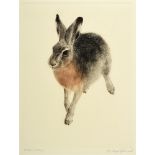 MEYER-EBERHARDT Study of a Hare, original etching, signed in pencil, 39 x 29cms
