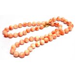 A CORAL NECKLACE WITH 9CT GOLD BOLT RING FASTENER the uniform white and orange coral beads approx.