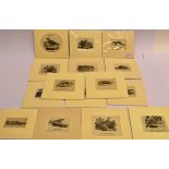 AFTER THOMAS BEWICK Fifteen assorted woodcut prints, including those of the Fossane; Sable;