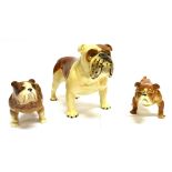 THREE CERAMIC BULLDOG FIGURES: the largest model a 'Basford Bristish Mascot' 14cm high